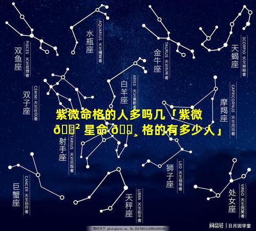 紫微命格的人多吗几「紫微 🌲 星命 🕸 格的有多少人」